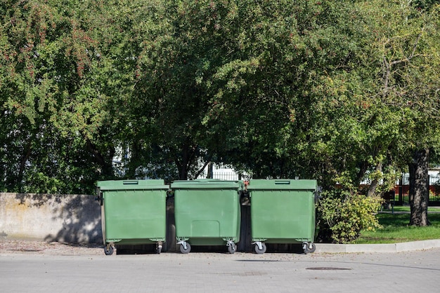 Three green garbage cans are placed next to the trees on the road