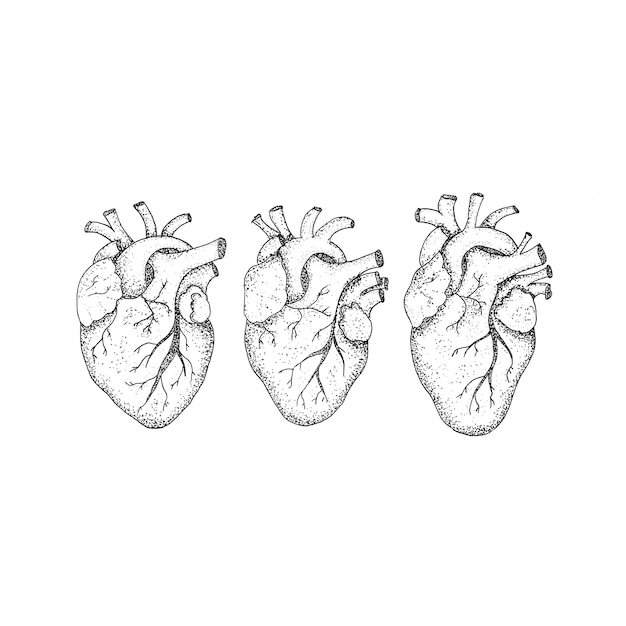 Photo three human hearts dotwork. raster illustration of hipster style t-shirt design. tattoo hand drawn sketch.