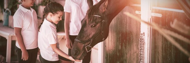 馬小屋で馬に餌をやる3人の子供