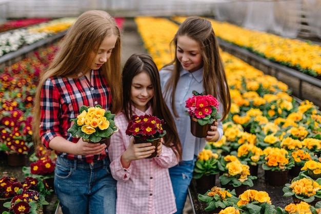 Three little girls looking at flowerpot in flower center