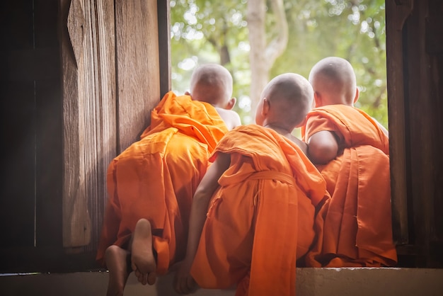 Three novices are looking out the window.