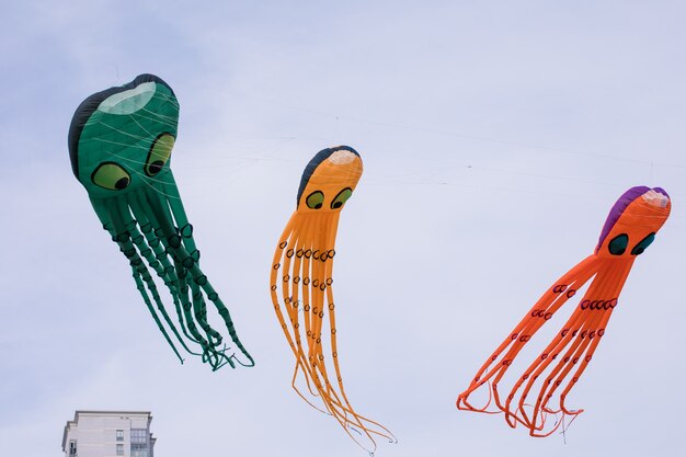 空に3つのタコの形をした凧。凧まつり。希釈の概念。