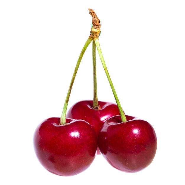 Three organic sweet cherries isolated on a white background