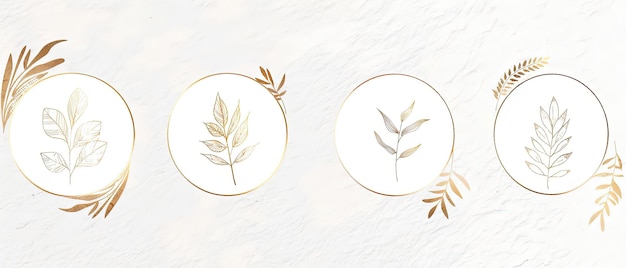 three oval frames with gold leaves and branches on a white background