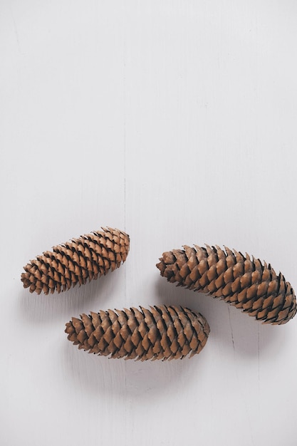 Three pine cones on a white background