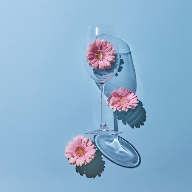 Three pink flowers gerbera and a glass on a blue background