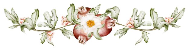 Photo three pomegranates with a white flower among the branches watercolor border