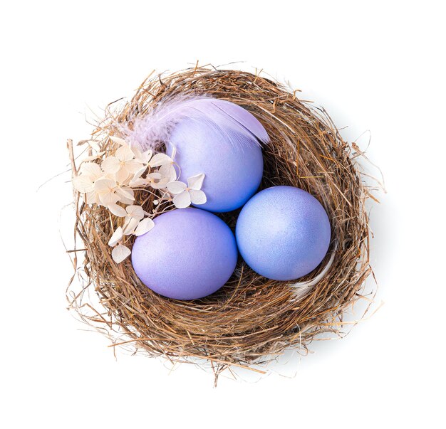 Three purple eggs in a nest with a feather and flowers isolated on a white background Top view The concept of Easter