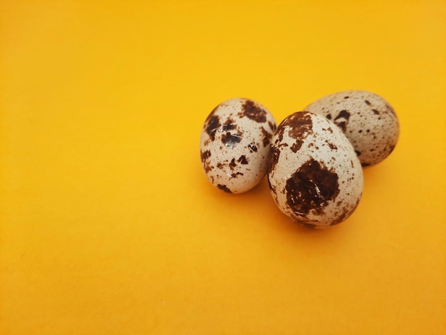 Three quail eggs isolated on yellow background