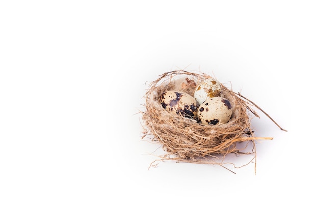 Three quail eggs in a nest on a white background