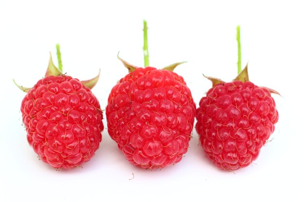 Three raspberries close-up on a white surface