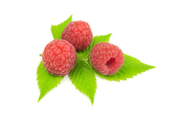 Three raspberries with leaves isolated on white