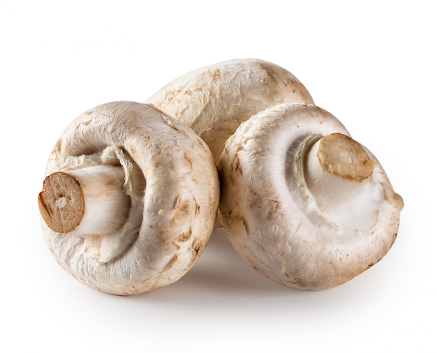 Three raw mushroom champignons isolated on white