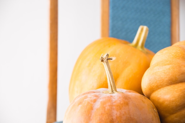 Three raw pumpkins of different shapes and sizes in a blue chair with a back