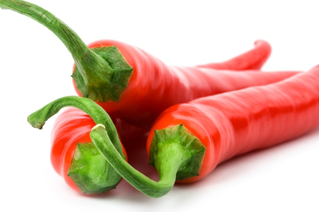 Three red chilly peppers closeup on white