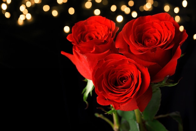 暗い表面に3本の赤いバラ