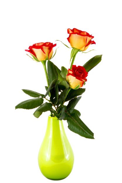 Three red roses in a green vase