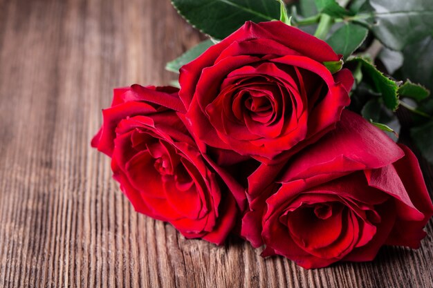 Photo three red roses