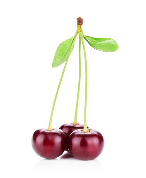 Three ripe cherries