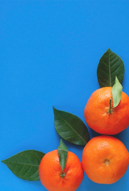 Three ripe mandarins on the side of a blue surface.