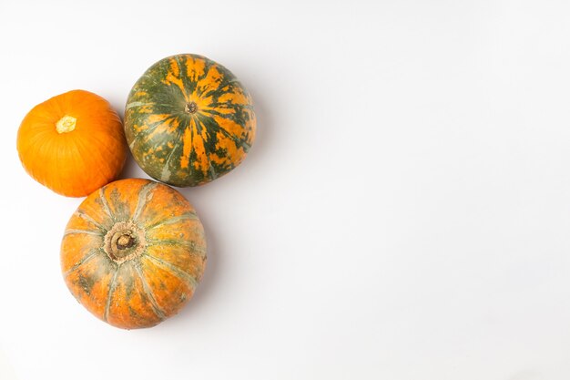 Three ripe orange and green pumpkins on a white background top view