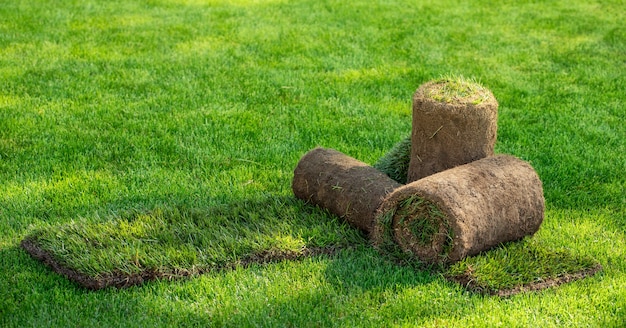 Three rolls of lawn grass in the backyard on a sunny day. Ready grass for laying, landscaping near the cottage.