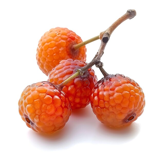 Photo three small oranges are shown on a white background