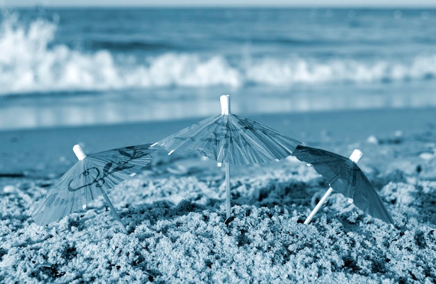 Three small paper cocktail umbrellas stand in sand on sandy
beach closeup