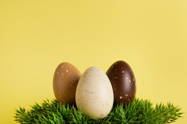 Three spotted easter eggs on green grass on yellow background copy space