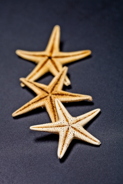 Three starfish on black background.