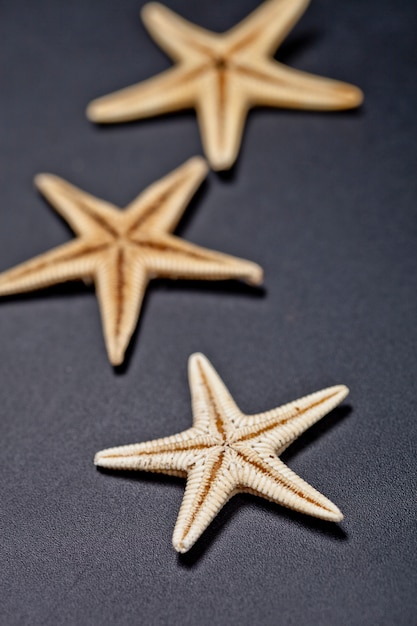 Three starfish