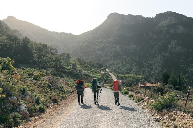 Three tourists with backpacks travel in the mountains