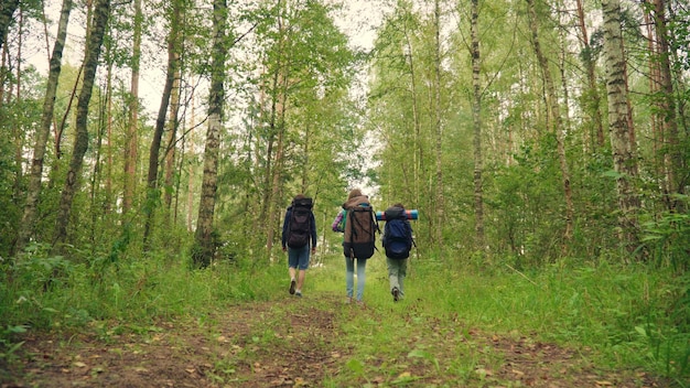 写真 バックパックを背負った 3 人の旅行者が落葉樹林に行く若い友人のグループが旅行します