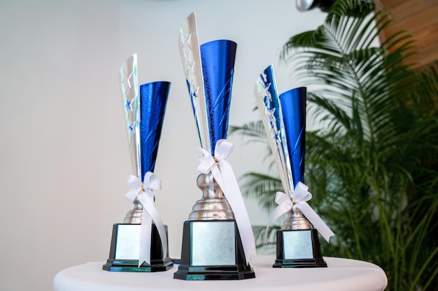 Three trophies on circle white table with tree leaf background\
in seminar hall