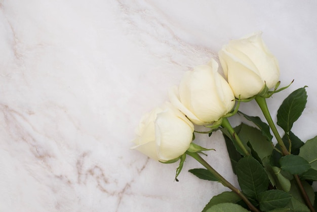 Three white roses are on concrete background