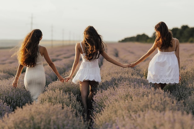 Three women walking in a lavender field