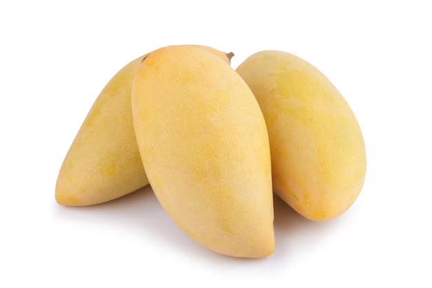 Three yellow mango fruit on white background