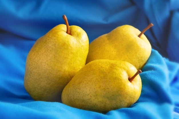 Three yellow ripe juicy pears on a blue background