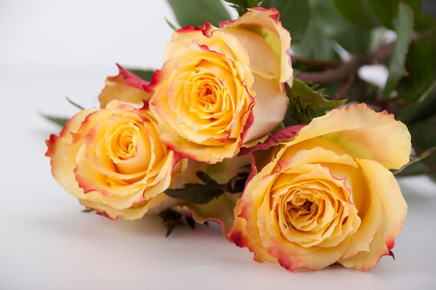 Three yellowred roses