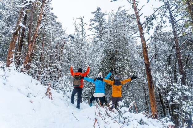 Фото Трое молодых людей повернулись спиной в заснеженном лесу природного парка артикуца в оярцуне.