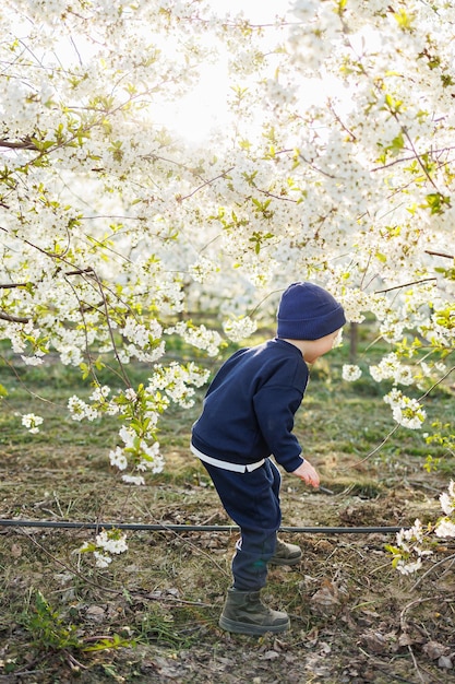 A threeyearold boy runs through a blooming garden Cheerful emotional child is walking in the park