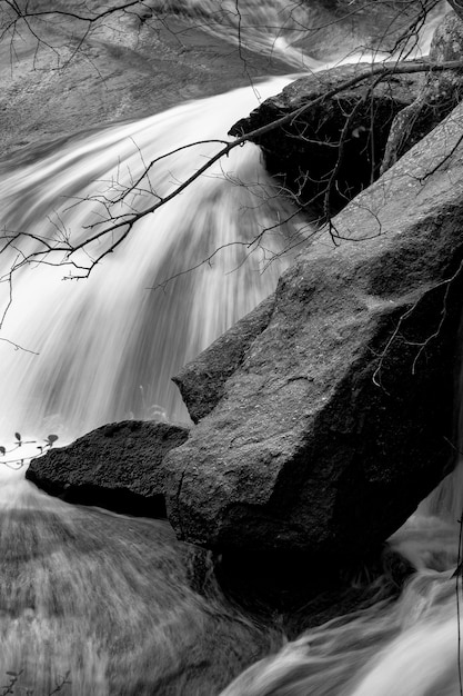 Photo throat of the nogaleras river in valle del jerte in the province of caceres in extremadura spain