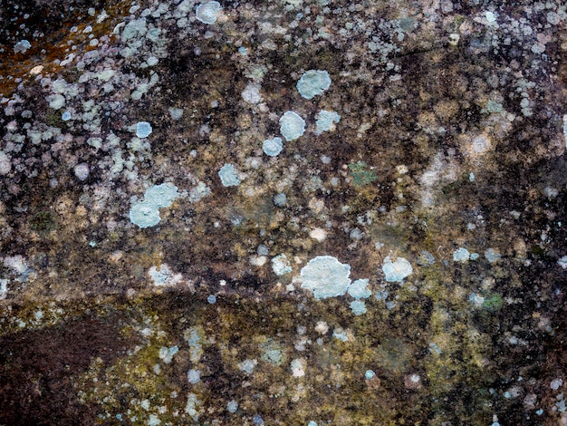 数年間の風と雨からの侵食を通して