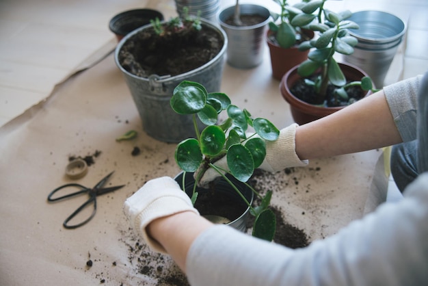 thuis bloemen verplanten lifestyle foto