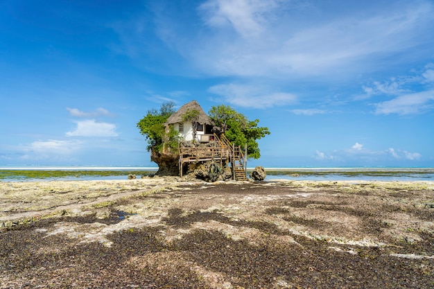 Thuis op de rots bij eb op het eiland zanzibar