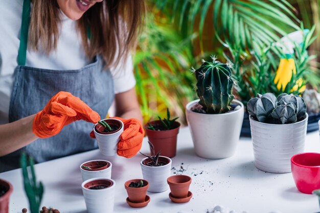 Thuis tuinieren en planten