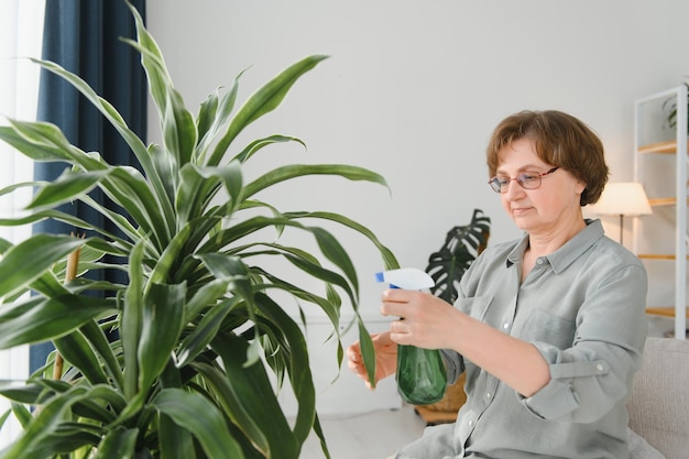 Thuis tuinieren Gelukkige senior vrouw met bril die voor de plant zorgt Glimlachende oudere vrouw die aloë vera spuit met een spuitfles Binnenverzorging en liefde voor kamerplanten