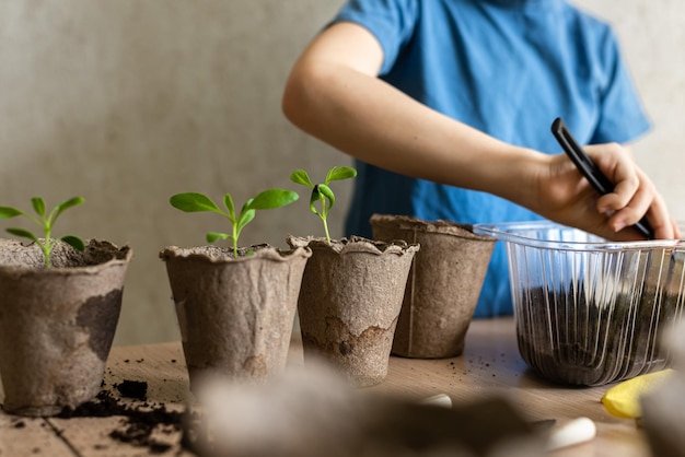 Thuis tuinieren kinderhanden die de grond voorbereiden voor het verplanten van zaailingen in eco-potten het concept om te leren planten te kweken voor kleuters Horizontale foto