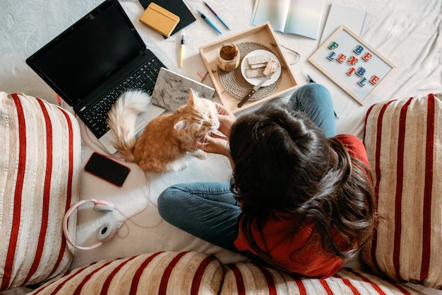 Thuiskantoor werkruimte werk vanuit huis concept jonge vrouw met laptop en kat aan het werk op de bank