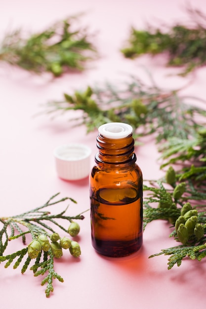 Thuja aroma essential oil in a glass jar on a pink surface